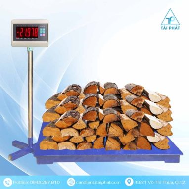 Cân Sàn Điện Tử T7E