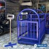 Cân Heo Điện Tử 500kg Super SS