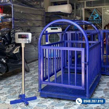 Cân Heo Điện Tử 500kg Super SS