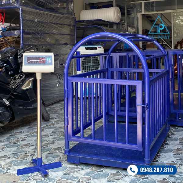 Cách Chọn Cân Heo Điện Tử Phù Hợp Theo Quy Mô Chăn Nuôi 2 Cân Heo Điện Tử 2-3 con T7E