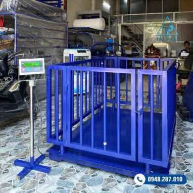 CÂN HEO 1 TẤN - 3 TẤN