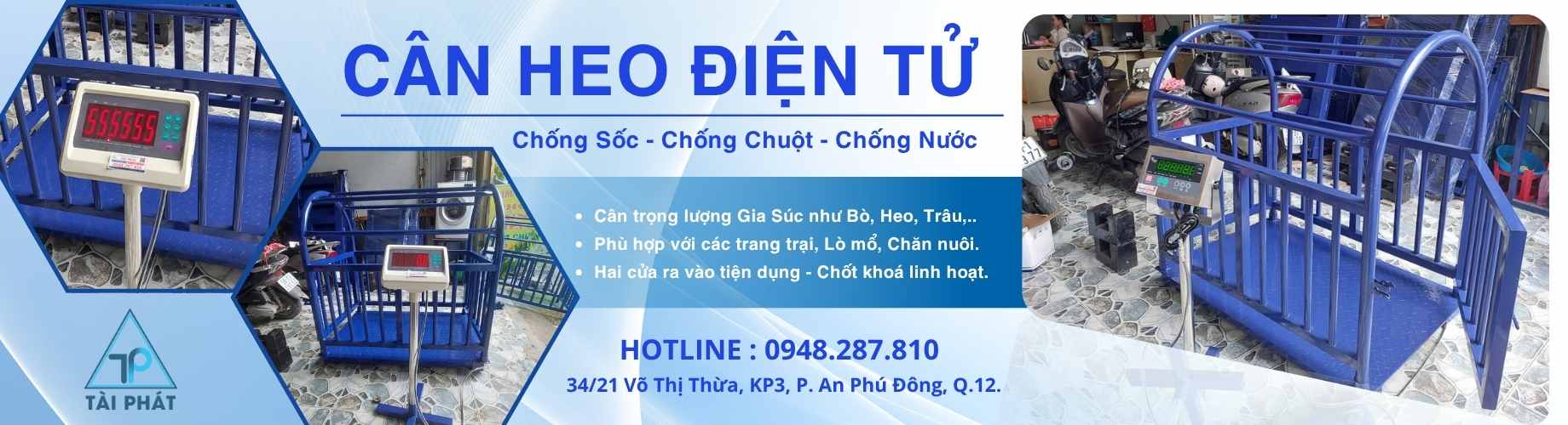 Cách Chọn Cân Heo Điện Tử Phù Hợp Theo Quy Mô Chăn Nuôi 7 1