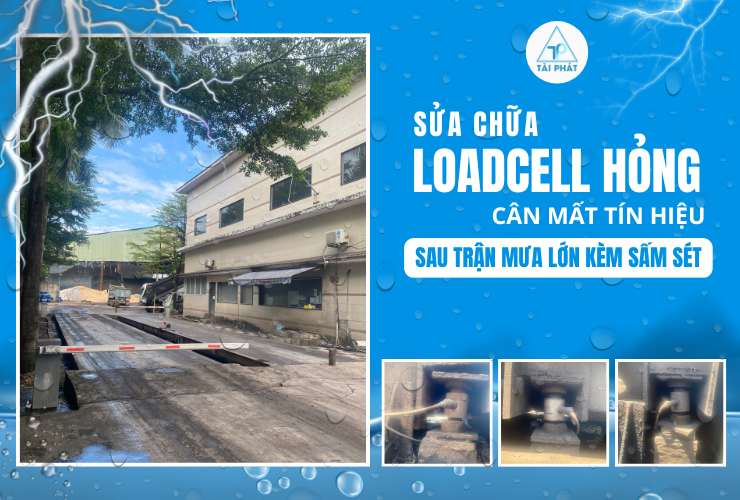 SỬA CHỮA TRẠM CÂN XE TẢI - LOADCELL