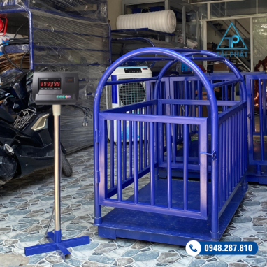 Cân heo điện tử A12