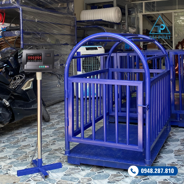 Cân heo điện tử A12
