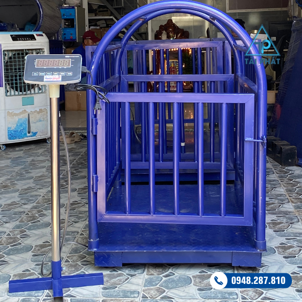 Cân heo điện tử - TS5801