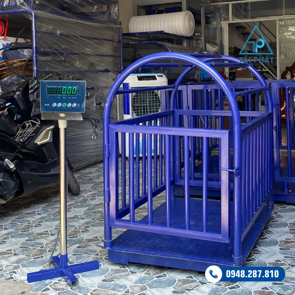 Cân heo điện tử - B19S
