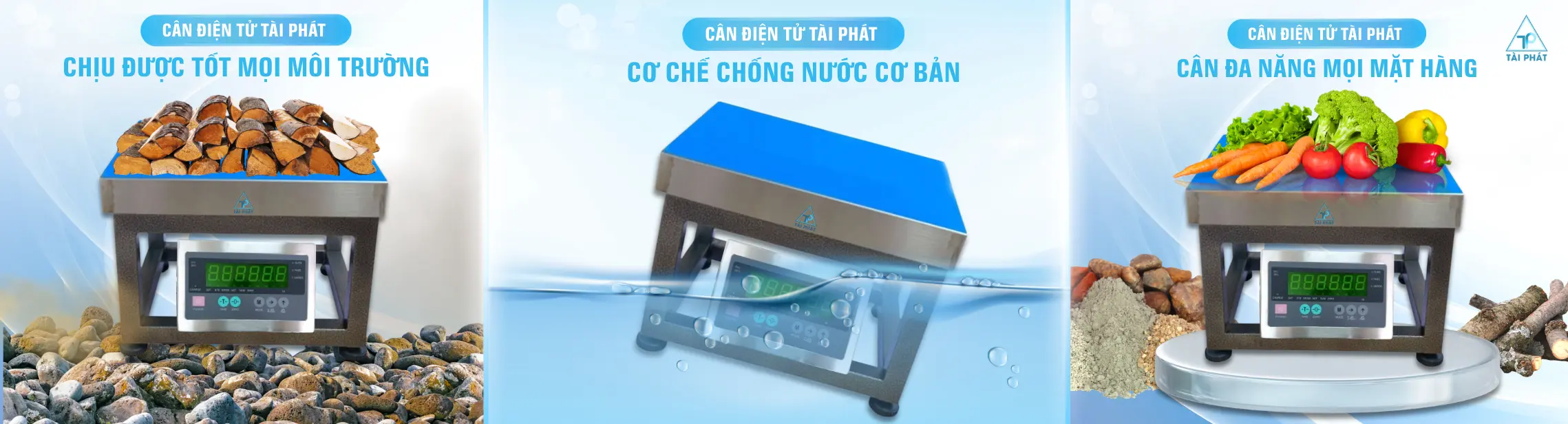 Cân Ghế Điện Tử