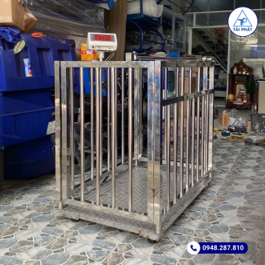 CÂN HEO ĐIỆN TỬ INOX 300KG B19S 20 Cân heo điện tử inox