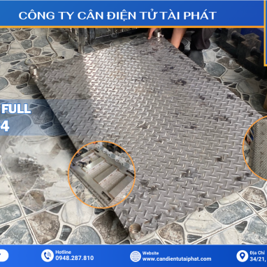 CÂN HEO ĐIỆN TỬ INOX 300KG B19S 19 Mặt Sàn Cân Heo Inox - Chống Gỉ Tuyệt Đối