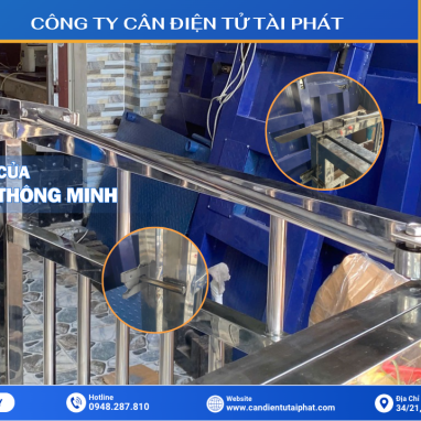 CÂN HEO ĐIỆN TỬ INOX 300KG B19S 18 Tay gạc cửa 2 chiều thông minh - Cân Heo Điện Tử
