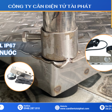 CÂN HEO ĐIỆN TỬ INOX 300KG B19S 16 Loadcell (cảm biến lực) IP67 chống nước cực tốt