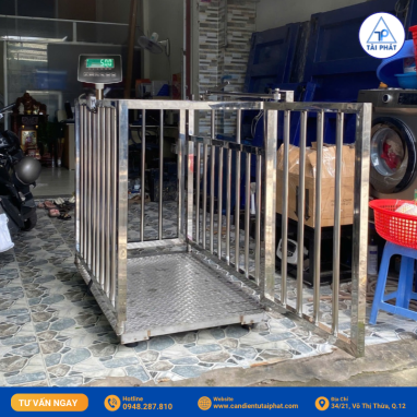 Anh chup Man hinh 2025 08 01 luc 11.38.32