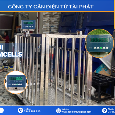 CÂN HEO ĐIỆN TỬ INOX 300KG B19S 5 Cân Heo Điện Tử Inox - Đầu cân B19S Amcells