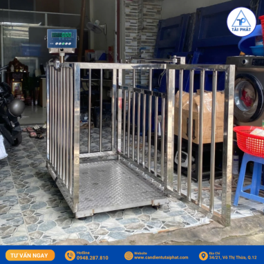 CÂN HEO ĐIỆN TỬ INOX 300KG B19S 4 Anh chup Man hinh 2025 08 01 luc 14.29.50