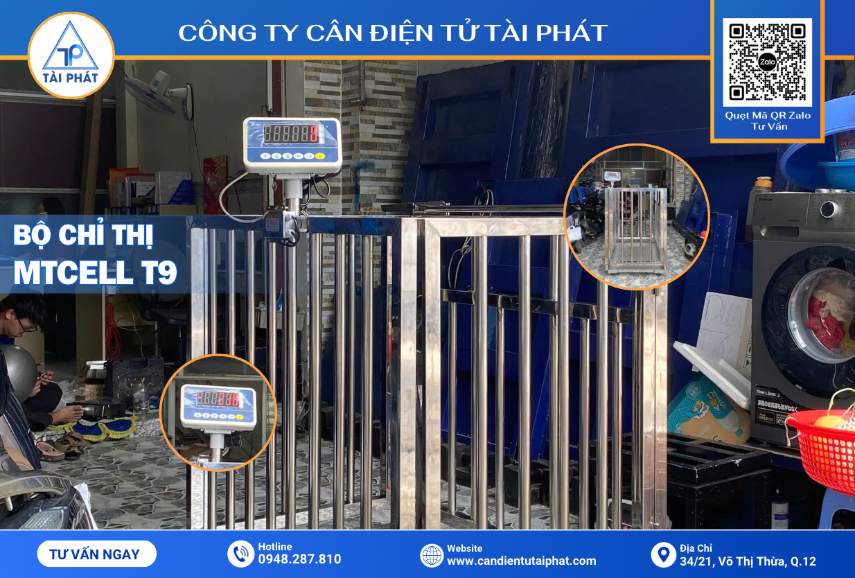 Cân heo diện tử Inox MTCELL T9