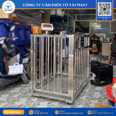 Anh chup Man hinh 2025 08 01 luc 16.26.24