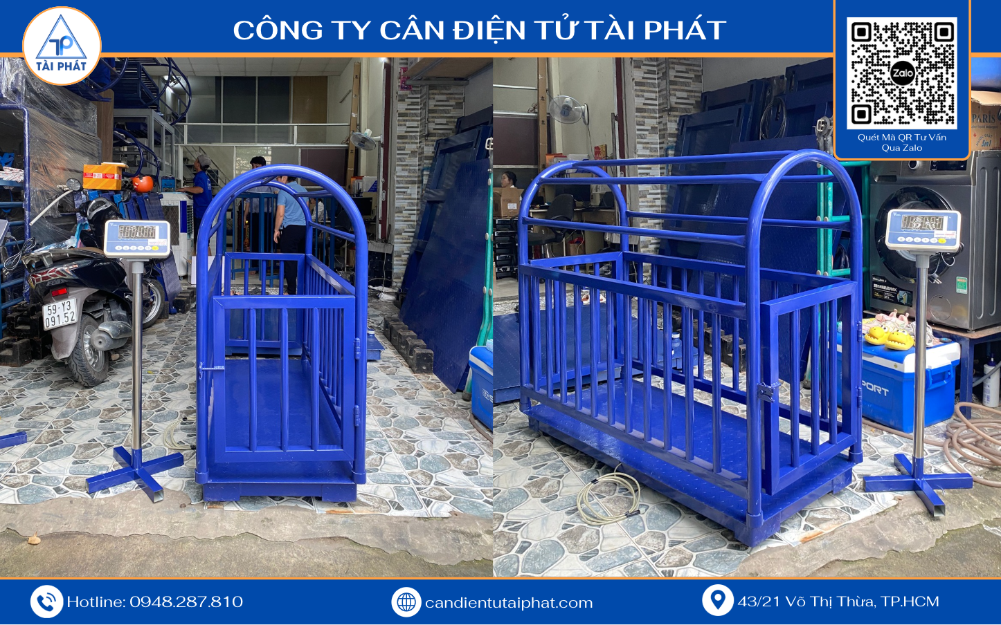Cân Heo Điện Tử 140x60cm MTCELL T9