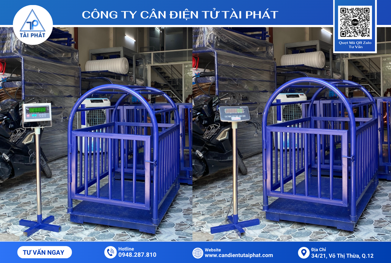 TOP 10 Câu Hỏi Khách Hàng Thường Đặt Ra Trước Khi Mua Cân Heo Điện Tử 2 Cân Heo điện tử 300Kg - 500Kg