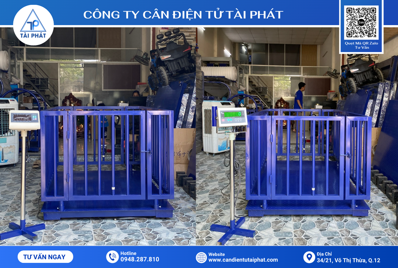 TOP 10 Câu Hỏi Khách Hàng Thường Đặt Ra Trước Khi Mua Cân Heo Điện Tử 3 Cân heo điện tử từ 1 tấn - 3 tấn