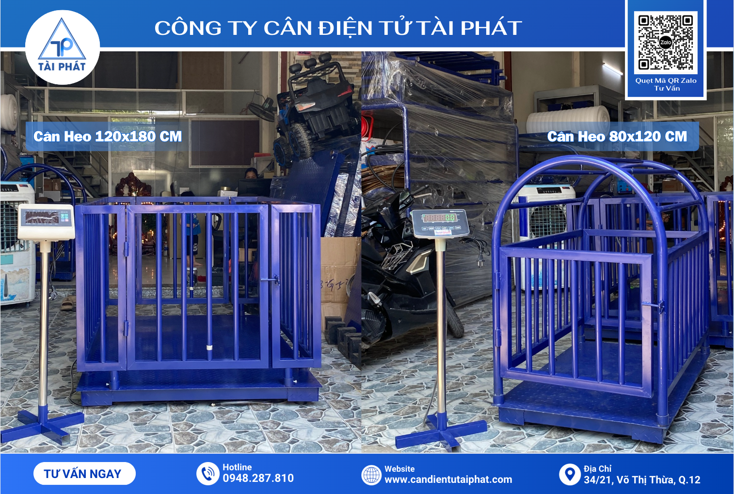 TOP 10 Câu Hỏi Khách Hàng Thường Đặt Ra Trước Khi Mua Cân Heo Điện Tử 4 Kích thước cân heo điện tử 120x180cm và 80x120cm