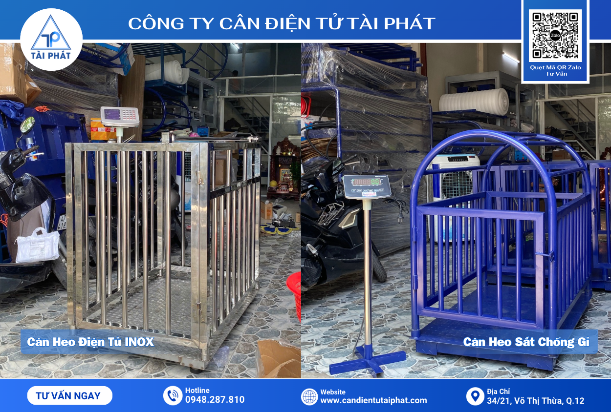 TOP 10 Câu Hỏi Khách Hàng Thường Đặt Ra Trước Khi Mua Cân Heo Điện Tử 5 Cân Heo Điện Tử INOX & Cân Heo Điện Tử Sắt Sơn Chống Gỉ