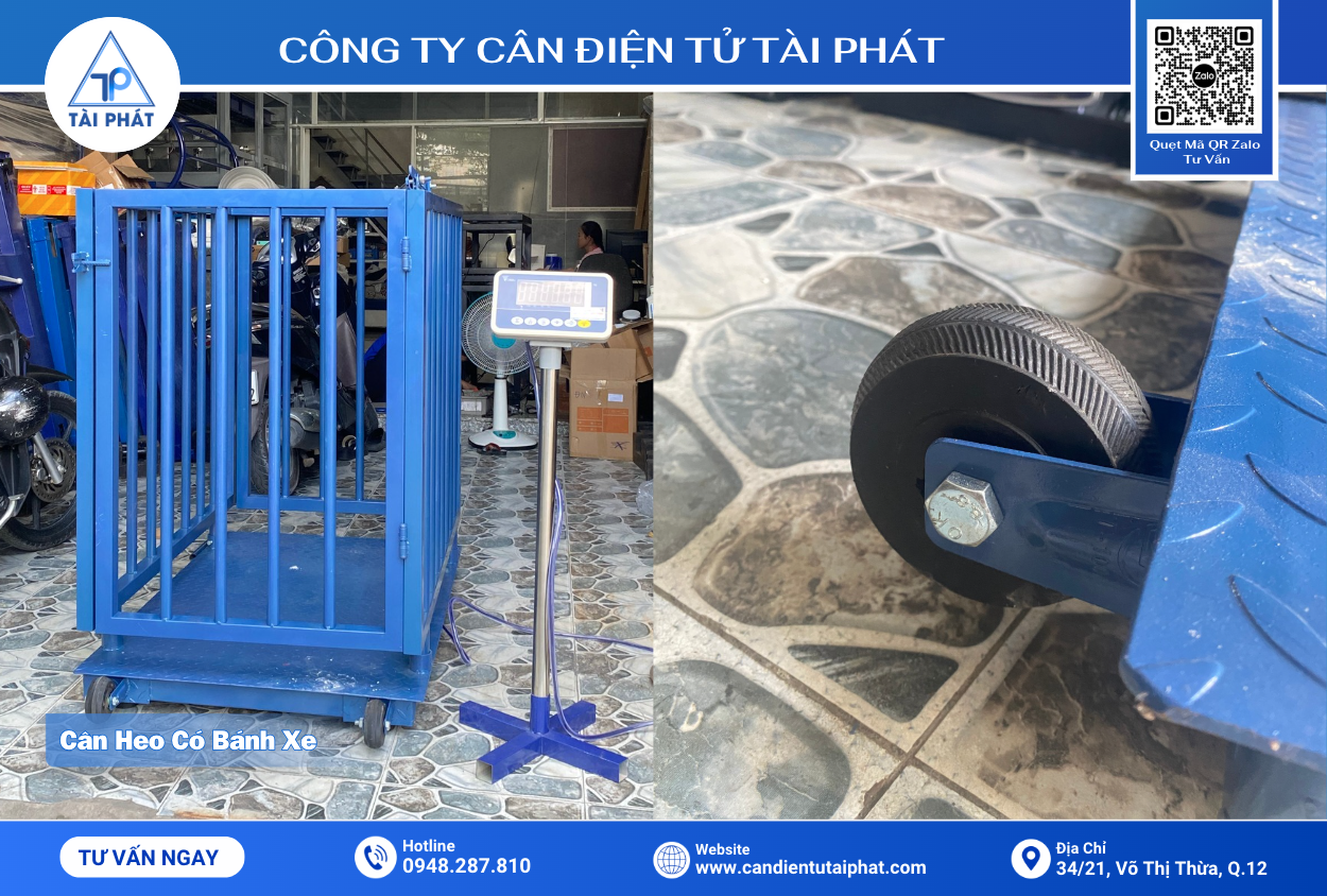 TOP 10 Câu Hỏi Khách Hàng Thường Đặt Ra Trước Khi Mua Cân Heo Điện Tử 6 Cân Heo Khung Sắt Sơn - Có Bánh Xe Đẩy