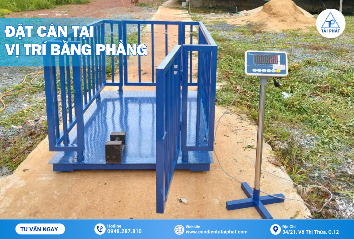 Vì Sao Cân Điện Tử Của Bạn Nhanh Hỏng, Cân Sai Số Và Cách Khắc Phục? 4 Đặt cân tại các vị trí mặt phẳng để cân luôn chính xác, tránh được các hư hỏng