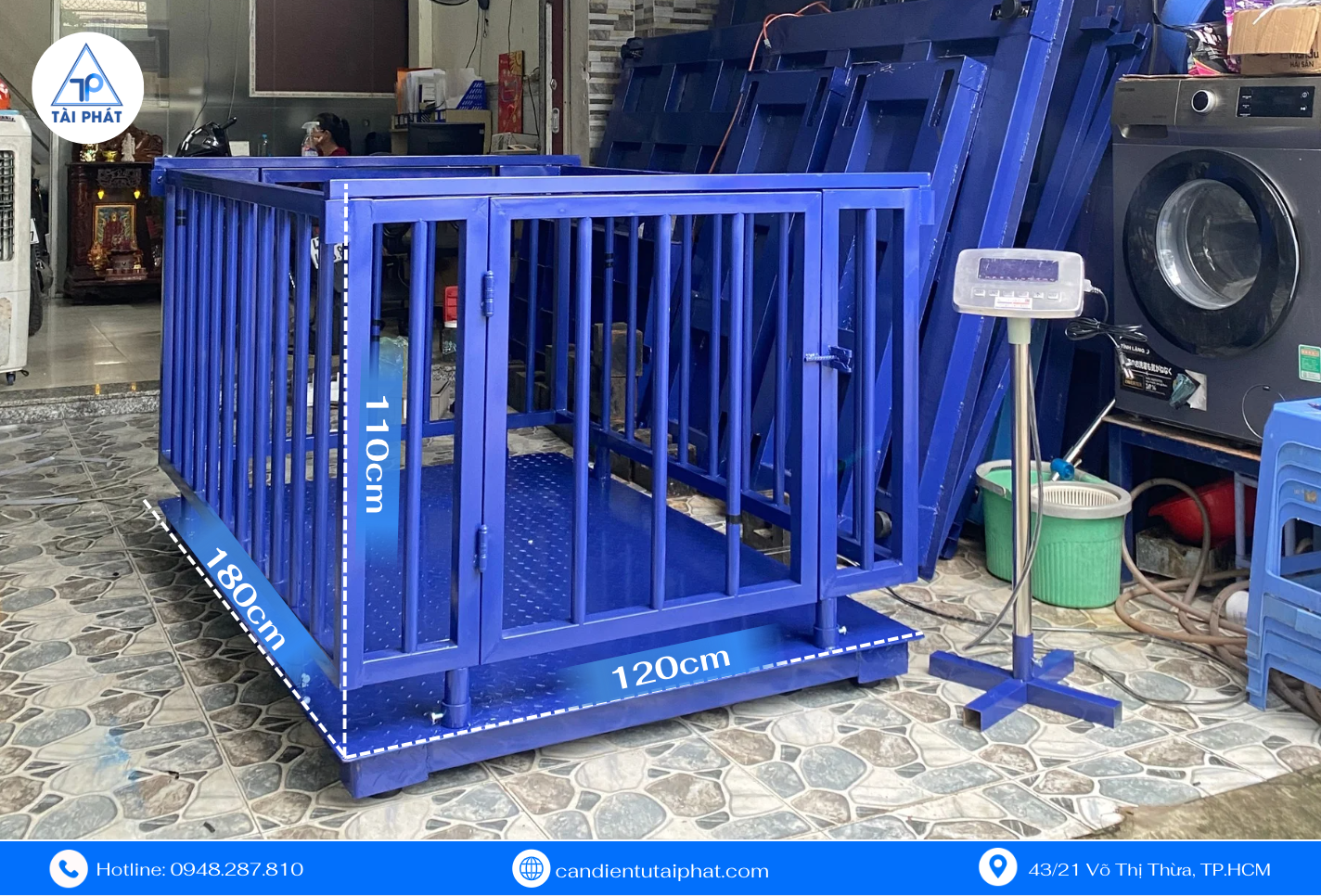 Kích thước cân lồng heo 3 tấn có thanh chắn